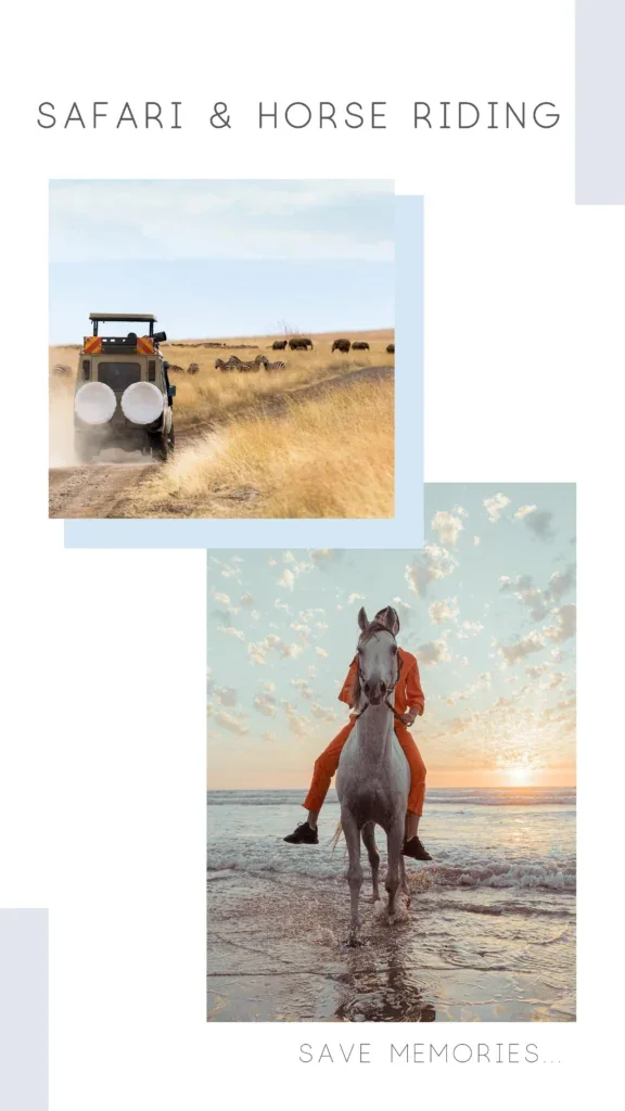 Safari-Reiten